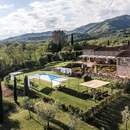Accogliente Alloggio Con Vista E Piscina Lucca Exteriér fotografie