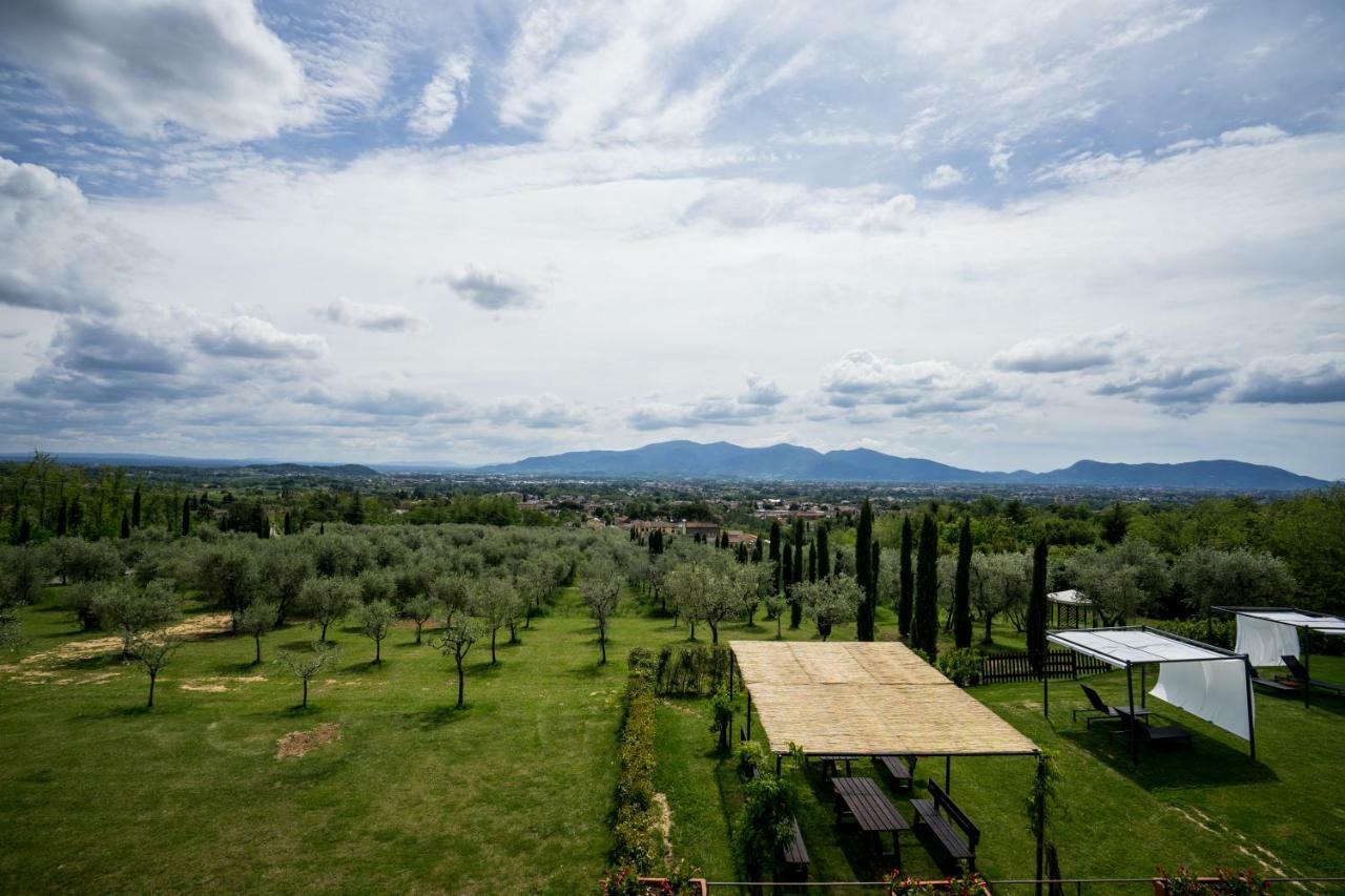 Accogliente Alloggio Con Vista E Piscina Lucca Exteriér fotografie