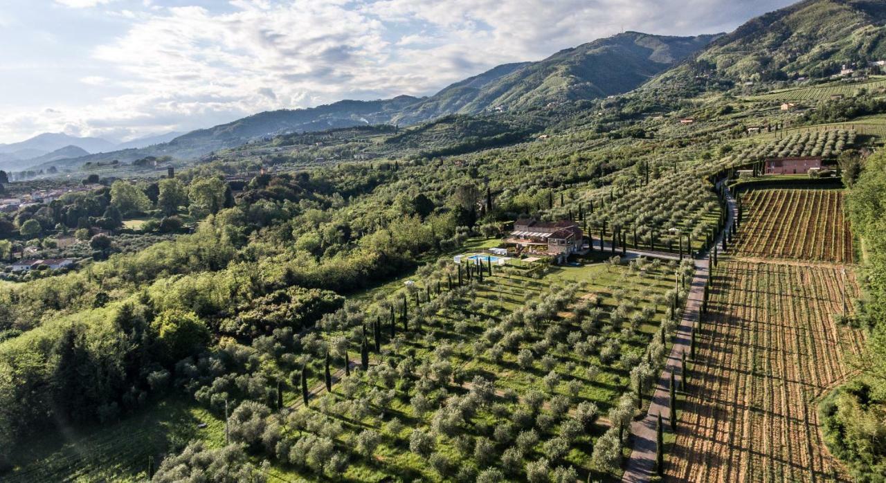 Accogliente Alloggio Con Vista E Piscina Lucca Exteriér fotografie