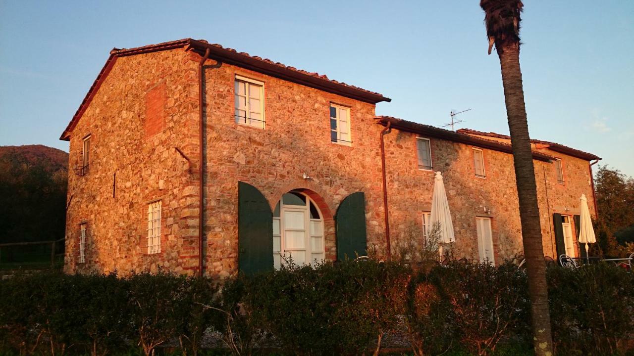 Accogliente Alloggio Con Vista E Piscina Lucca Exteriér fotografie